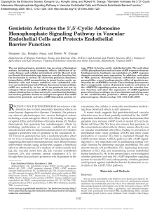 Cyclic Adenosine Monophosphate Signaling Pathway