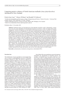 Lingering genetic evidence of North American mallards (Anas