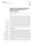 Function and Therapeutic Potential of Mesenchymal Stem Cells in