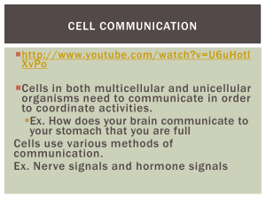 target cell. - mleonessciencepage