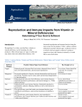 Reproduction and Immune Impacts from Vitamin or Mineral