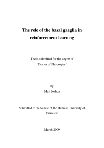 The role of the basal ganglia in reinforcement learning