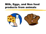 Milk, Eggs, and Non food products from animals