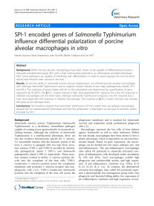 SPI-1 encoded genes ofSalmonellaTyphimurium influence