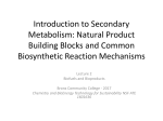 Secondary Metabolism Part 1: Introduction, Fatty Acids and