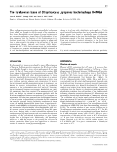 The hyaluronan lyase of Streptococcus pyogenes bacteriophage