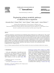 Engineering primary metabolic pathways of industrial