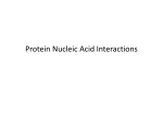 Protein Nucleic Acid Interactions