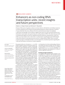 Enhancers as non-coding RNA transcription units: recent