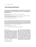 Cloning and Characterization of the KlDIM1 Gene