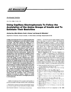 Using Capillary Electrophoresis To Follow the Acetylation of the