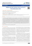 MAPK and AKT Pathway Intersection in Neuroblastoma Cells