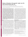 Pattern of diversity in the genomic region near the