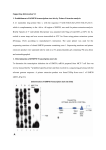 Supporting Information S1: 1. Establishment of hSMP30 transcription