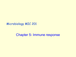 Secondary Immune Response