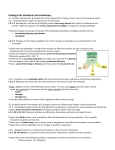 Ecology Unit 2B Vocabulary and Standards