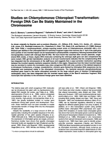 Studies on Chlamydomonas Chloroplast Transformation: Foreign