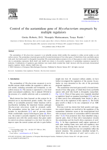 Control of the acetamidase gene of Mycobacterium smegmatis by