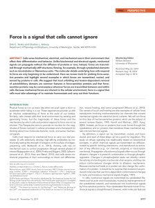 Force is a signal that cells cannot ignore