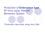 Production of : Enterovirus type 71 Virus using TideCell Bioreactor