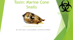 Cell Communication Presentation- Marine Cone Snail (Toxin)