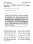 FIE and CURLY LEAF polycomb proteins interact