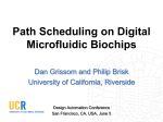 Path Scheduling on Digital Microfluidic Biochips