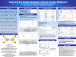 Targeting the Folate Receptor, a Novel Cancer