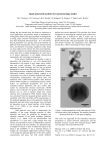 Spark generated particles for nanotoxicology studies M.E. Messing1