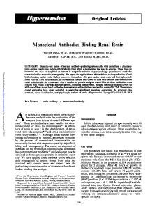 Monoclonal Antibodies Binding Renal Renin