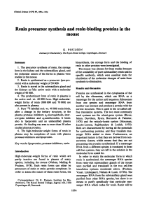 Renin Precursor Synthesis and Renin