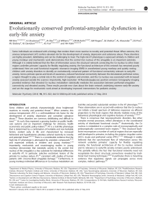 Evolutionarily conserved prefrontal-amygdalar dysfunction in early