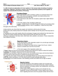7L3B2 Human Body Systems Notes/Study Guide