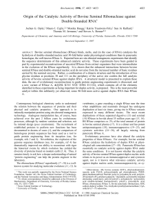 Origin of the catalytic activity of bovine seminal ribonuclease against