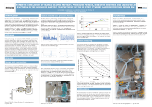 realistic simulation of human gastric motility, pressure forces