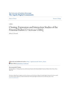 Cloning, Expression and Interaction Studies of the Potential