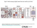 Figure 1. World consisting of digital multicells that