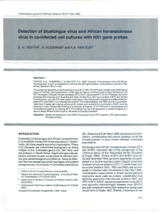 Detection of bluetongue virus and African horseslckness virus in co