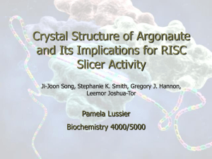 RNA interference - crystal structure of Argonaute 2