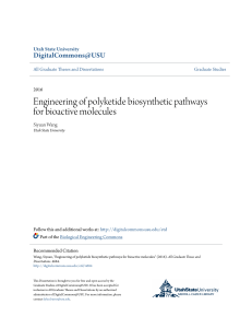 Engineering of polyketide biosynthetic pathways for bioactive