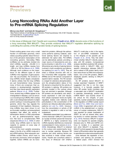 Long Noncoding RNAs Add Another Layer to Pre