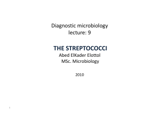 the streptococci