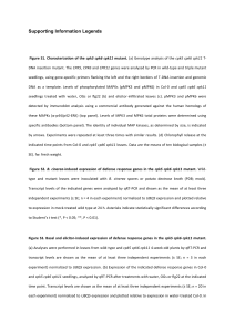 Supporting Information Legends Figure S1. Characterization of the