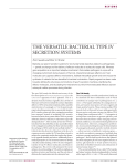 the versatile bacterial type iv secretion systems
