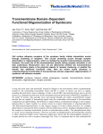 Transmembrane Domain–Dependent Functional