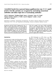 Assembled baculovirus-expressed human papillomavirus type 11