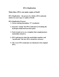 DNA Replication