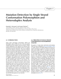 Mutation Detection by Single Strand Conformation Polymorphism