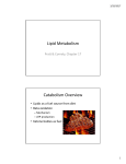 Lipid Metabolism Catabolism Overview