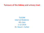 Tumours of the kidney and urinary tract 1